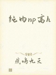 纯肉np高h