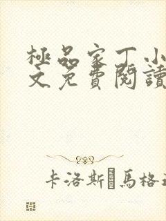 极品家丁小说全文免费阅读