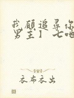 我愿追寻你【双男主】 七吔