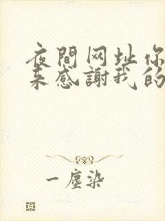 夜间网址你会回来感谢我的