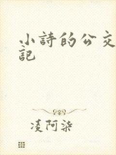 小诗的公交车日记