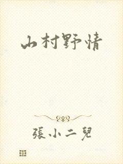 山村野情