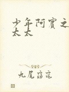 少年阿宾之房东太太