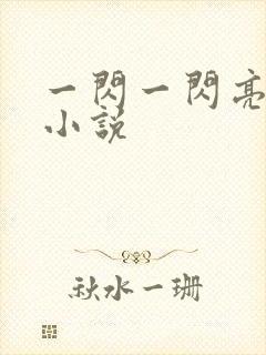 一闪一闪亮星星小说