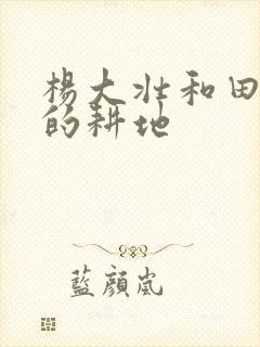 杨大壮和田桂花的耕地