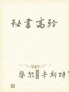 秘书高干