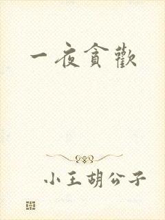 一夜贪欢