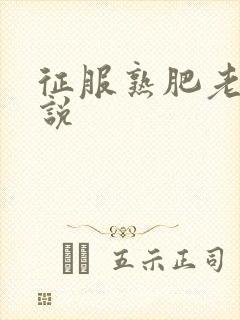 征服熟肥老妇小说