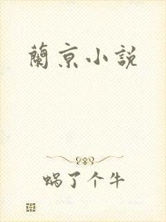 兰京小说