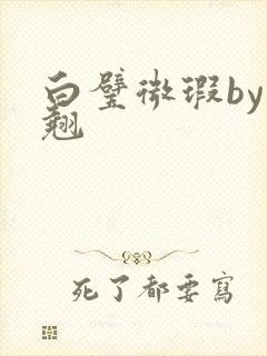 白璧微瑕by连翘