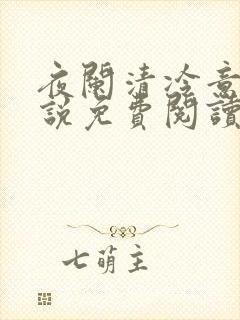夜阑清冷意欢小说免费阅读