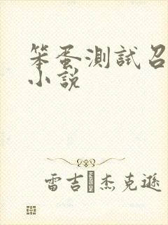 笨蛋测试召唤兽小说