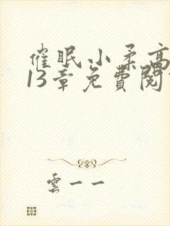 催眠小柔高达第13章免费阅读