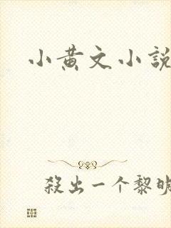 小黄文小说