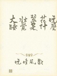 大壮翠花晚上不睡觉是什么电视剧