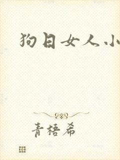 狗日女人小说