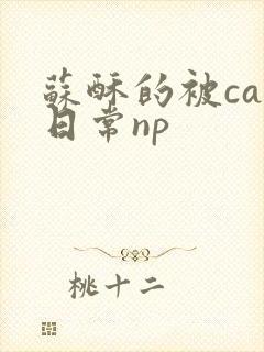 苏酥的被cao日常np