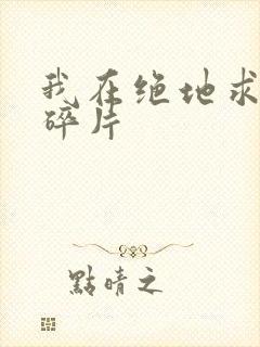 我在绝地求生捡碎片