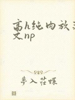 高h纯肉放荡h文np
