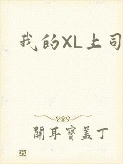 我的XL上司