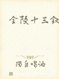 金陵十三钗原著