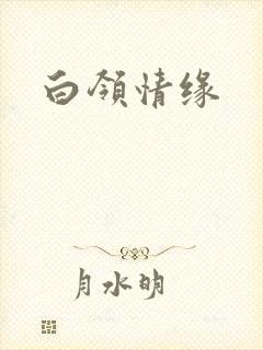 白领情缘
