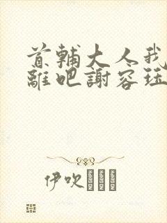 首辅大人我们和离吧谢容珏