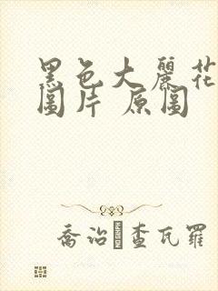 黑色大丽花真实图片 原图