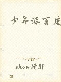 少年派百度百科