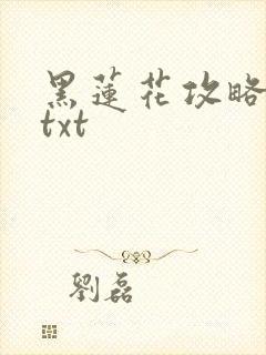 黑莲花攻略手册txt
