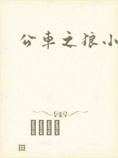 公车之狼小说