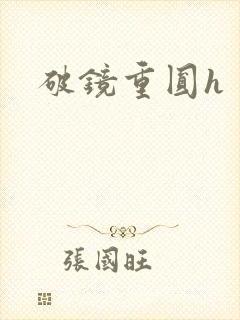 破镜重圆h