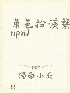 角色扮演系统(npn)