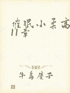 催眠小柔高达第11章