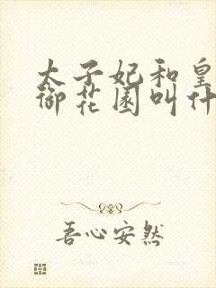 太子妃和皇帝在御花园叫什么小说