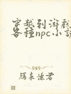 穿越到游戏里和各种npc小说