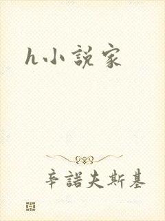 h小说家