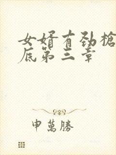 女婿有劲枪枪到底第三章