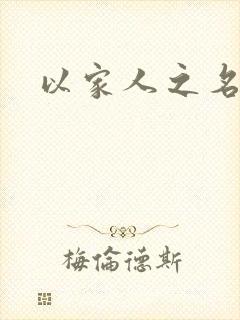 以家人之名小说