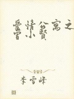 爱情公寓之极品曾小贤