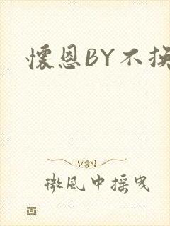 怀恩BY不换