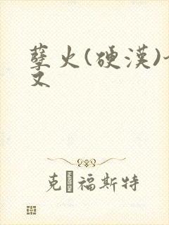 孽火(硬汉)今又