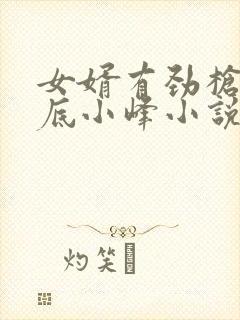 女婿有劲枪枪到底小峰小说