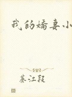 我的娇妻小说