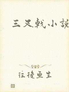 三叉戟小说