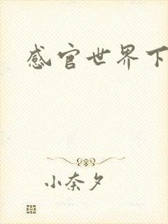 感官世界下载