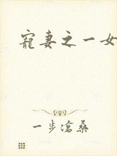 宠妻之一女二夫