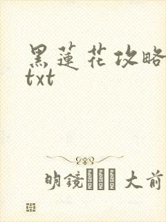 黑莲花攻略手册txt