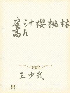 蜜汁樱桃林妙妙高h