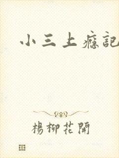 小三上瘾记
